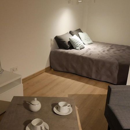 Auschwitz New Flat For Rent Air Conditioning In The Apartament Oswiecim Nowe Mieszkanie - Centrum Klimatyzacja W Mieszkaniu Διαμέρισμα Εξωτερικό φωτογραφία