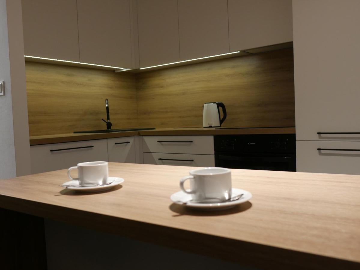 Auschwitz New Flat For Rent Air Conditioning In The Apartament Oswiecim Nowe Mieszkanie - Centrum Klimatyzacja W Mieszkaniu Διαμέρισμα Εξωτερικό φωτογραφία