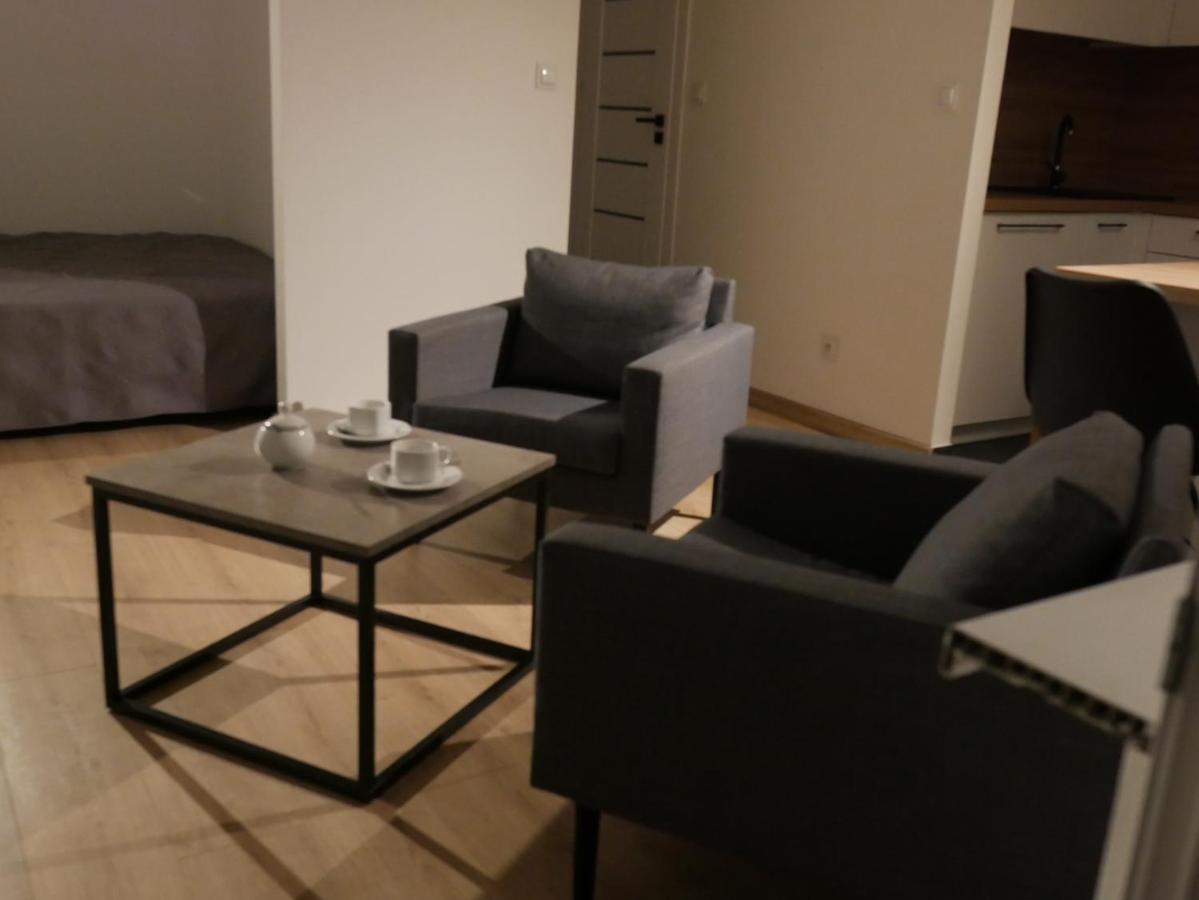 Auschwitz New Flat For Rent Air Conditioning In The Apartament Oswiecim Nowe Mieszkanie - Centrum Klimatyzacja W Mieszkaniu Διαμέρισμα Εξωτερικό φωτογραφία