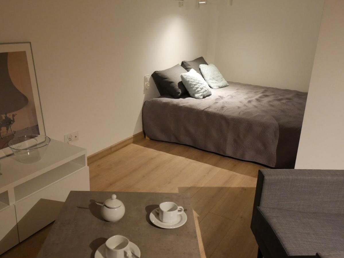 Auschwitz New Flat For Rent Air Conditioning In The Apartament Oswiecim Nowe Mieszkanie - Centrum Klimatyzacja W Mieszkaniu Διαμέρισμα Εξωτερικό φωτογραφία
